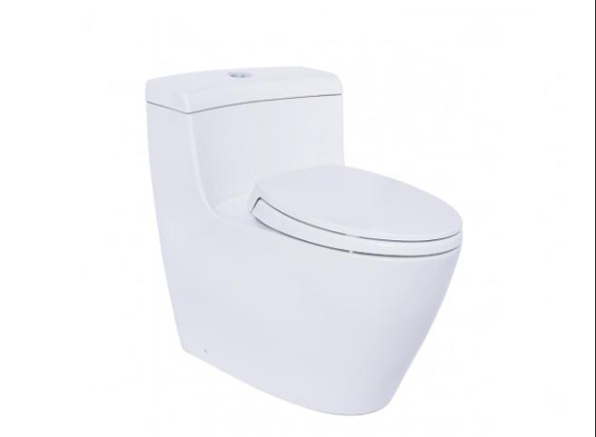 Bồn cầu 1 khối xả nhấn của Toto MS636DT2