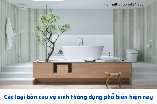 Khám phá các loại bồn cầu vệ sinh phổ biến hiện nay