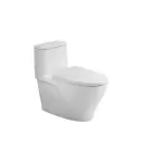 Bồn cầu American Standard 1 khối