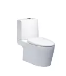 Bồn cầu 2 khối Caesar