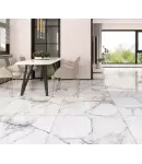 Gạch Đồng Tâm 100x100