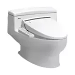 Tại sao nên nâng cấp nắp bồn cầu truyền thống lên nắp rửa điện tử?