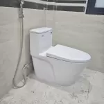 10+ Mẫu bồn cầu giá rẻ dưới 3 triệu đẹp chất lượng hiện nay