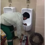 7 Cách thông bồn tiểu nam tại nhà đơn giản mà hiệu quả nhất