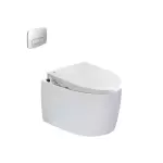Có nên sử dụng bồn cầu treo tường tại nhà hay không?