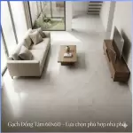 Gạch Đồng Tâm 60x60 là gì? Có phù hợp cho nhà phố không?