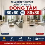 Gạch Đồng Tâm 60x60 Hay 80x80 Tốt Hơn Cho Nhà Diện Tích Vừa?
