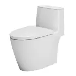 Bồn Cầu AC-902VN Aqua Ceramic 1 Khối