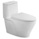 Bồn Cầu Inax 1 Khối AC-989VN