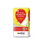 Keo dán gạch ốp tường Weber Tai Fix màu xám