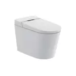 Bồn cầu điện tử Caesar