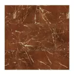 Gạch Đồng Tâm 60x120 STONE004-FP-H+ Porcelain Kháng Khuẩn