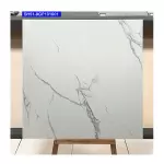 Gạch 100x100 Viglacera SH51-9P101001 Granite