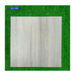 Gạch Viglacera 20x100 GC21061 Porcelain