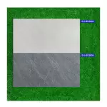 Gạch viglacera 30x60 SH-BS3603-04 Mờ Porcelain