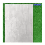 Gạch 60x120 Viglacera SH11-GM61201 Porcelain