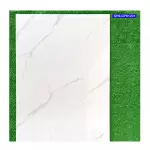 Gạch ốp lát Viglacera 60x120 SH9_GP61201 Porcelain