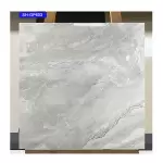 Gạch viglacera 60x60 SH-GP603 bóng vân đá