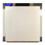 Gạch viglacera 60x60 TS5-601 Porcelain