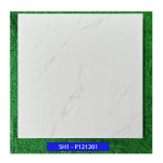 Gạch ốp lát Viglacera 120X120 SH1-P121201 Granite