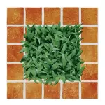 Gạch Cỏ Lát Nền Đồng Tâm 40x40 CLG002 Porcelain Sân Vườn