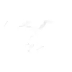 Gạch ốp tường Thạch Bàn 40x80 Bóng Chất Lượng PGB48-0225