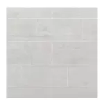 Gạch Toilet 30x60 Đồng Tâm 3060DELUXE002 Ceramic