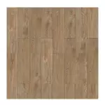 Gạch lót sàn đồng tâm 2080WOOD009 Porcelain