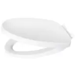 Nắp bồn cầu rơi êm Inax CF-57VSAK (C-306VAN)