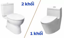 Nên Mua Bồn Cầu 1 Khối Hay 2 Khối American Standard: Nên Chọn Loại Nào
