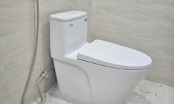 10+ Mẫu bồn cầu giá rẻ dưới 3 triệu đẹp chất lượng hiện nay