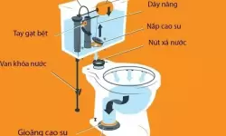 bồn cầu Inax 2 khối: Xu hướng chọn mua của nhiều gia đình Việt trong năm 2025