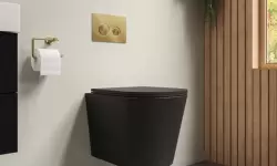 Cách kết hợp bồn cầu màu đen trong phòng tắm thêm hiện đại