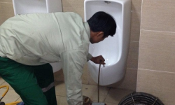 7 Cách thông bồn tiểu nam tại nhà đơn giản mà hiệu quả nhất