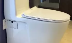 Bồn Cầu American Standard 1 Khối: Lựa Chọn Cao Cấp Cho Không Gian Hiện Đại