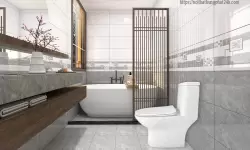 Xu hướng thiết kế phòng tắm 2025: Bồn cầu tối giản và đa năng lên ngôi