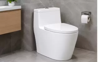BỒN CẦU INAX 1 KHỐI – KINH NGHIỆM LỰA CHỌN MẪU PHÙ HỢP CHO PHÒNG TẮM HIỆN ĐẠI