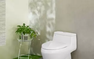 Xu Hướng Sử Dụng Bồn Cầu Inax 1 Khối Trong Nhà Ở Đô Thị