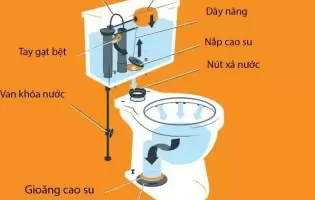 bồn cầu Inax 2 khối: Xu hướng chọn mua của nhiều gia đình Việt trong năm 2025