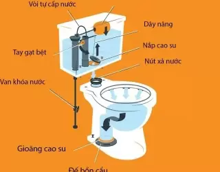 bồn cầu Inax 2 khối: Xu hướng chọn mua của nhiều gia đình Việt trong năm 2025