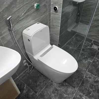 Lỗi thường gặp khi sử dụng bồn cầu và cách khắc phục đơn giản tại nhà