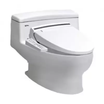 Tại sao nên nâng cấp nắp bồn cầu truyền thống lên nắp rửa điện tử?