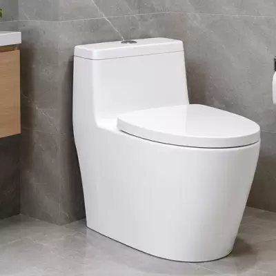 BỒN CẦU INAX 1 KHỐI – KINH NGHIỆM LỰA CHỌN MẪU PHÙ HỢP CHO PHÒNG TẮM HIỆN ĐẠI