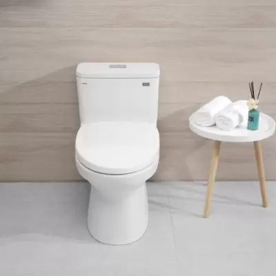 Vì sao chọn bồn cầu inax 1 khối cho gia đình của bạn