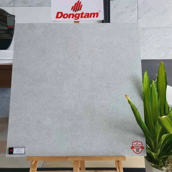 Gạch Đồng Tâm 8080 THIENTHACH002-H+