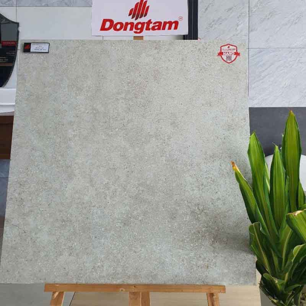 Gạch Lát Nền 80x80 Đồng Tâm THIENTHACH004-H+
