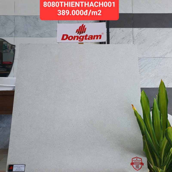 Gạch Lát Nền Đồng Tâm 80x80 THIENTHACH001-H+