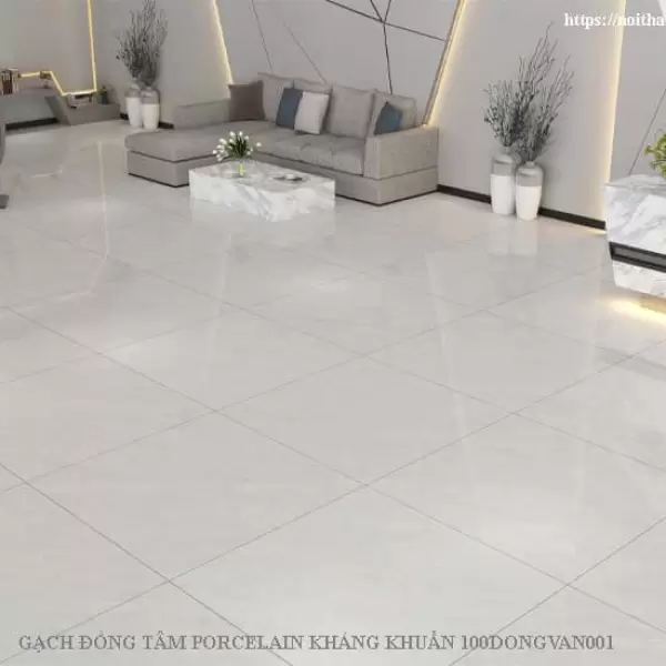 Gạch Đồng Tâm 1mx1m DONGVAN001-FP-H+ Porcelain Kháng Khuẩn