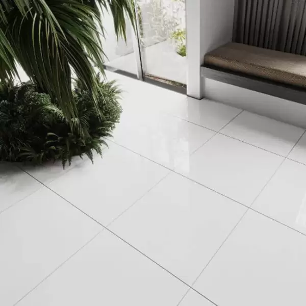 Gạch Đồng Tâm 60x60 SNOW001-FP Porcelain