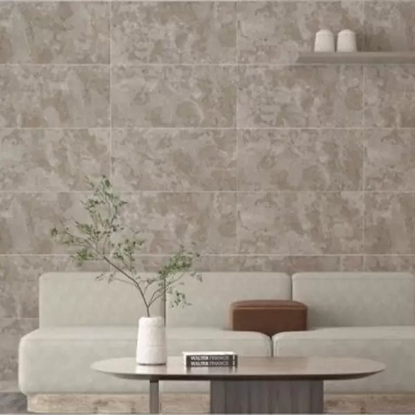 Gạch Ốp 40x80 Đồng Tâm SAPA006-H+ Porcelain Kháng Khuẩn